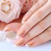 imagePolychromeampampair Press On Nails White ampamp French  Medium Short Almond Nails Reusable Nail Kits